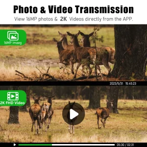 Solar Trail Game Waterproof Wildlife Hunting Camera - Thumbnail Image 5