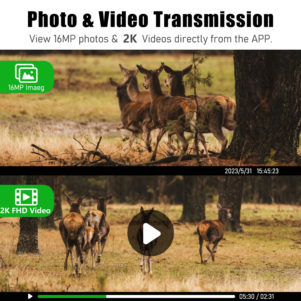 Solar Trail Game Waterproof Wildlife Hunting Camera - Image 5
