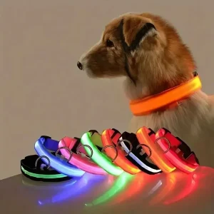 Night Glow Fluorescent Pet Dog Collar