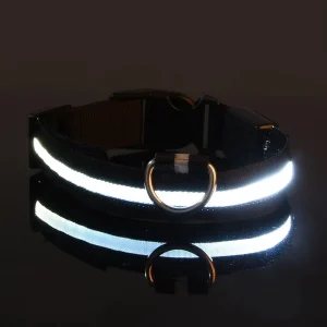 Night Glow Fluorescent Pet Dog Collar - Thumbnail Image 8