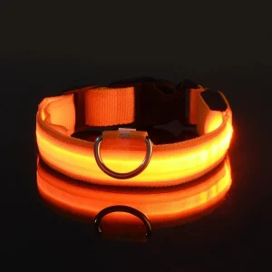 Night Glow Fluorescent Pet Dog Collar - Thumbnail Image 12
